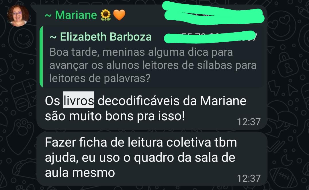 Depoimento de professora 6