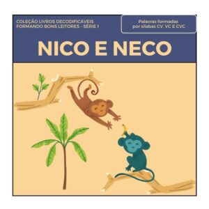 Capa Livro Decodificável 4